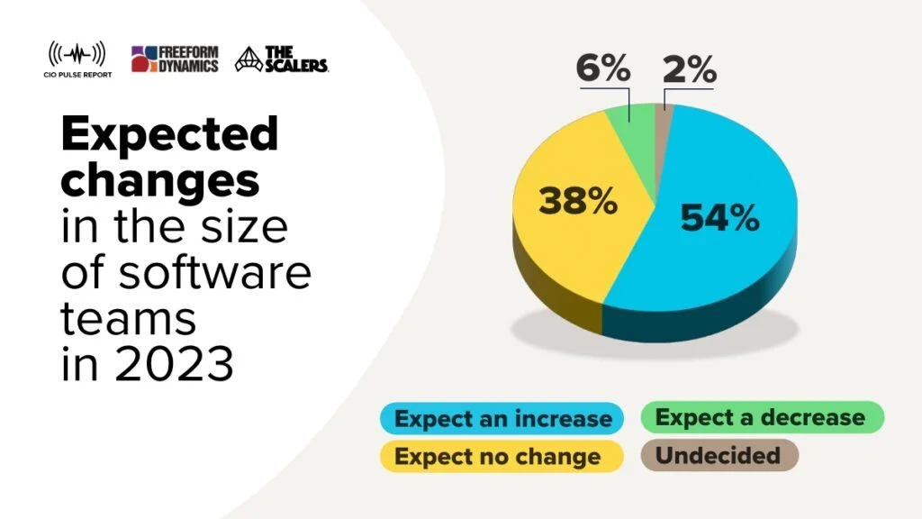 Size of software teams in 2023