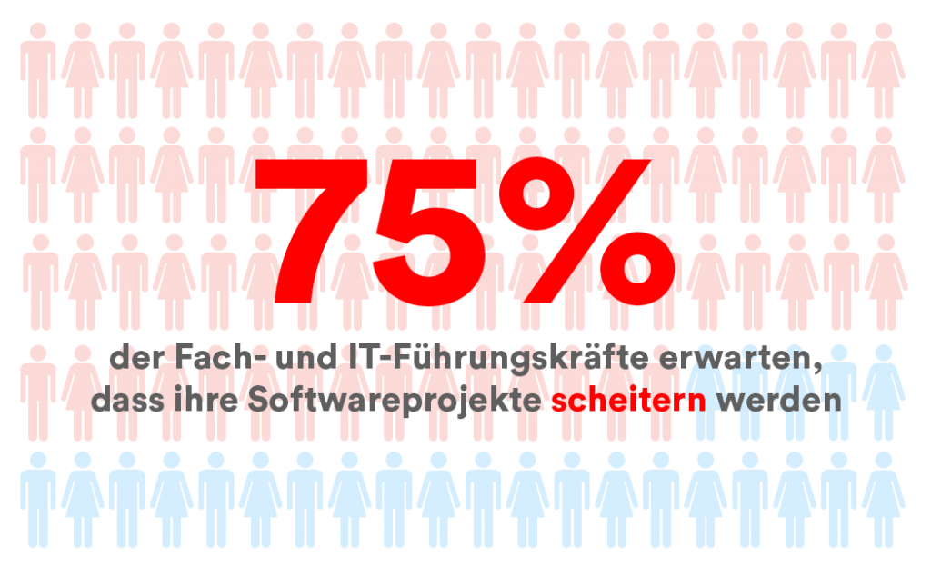 IT Führungskräfte