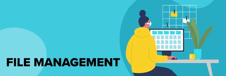 File management infographic