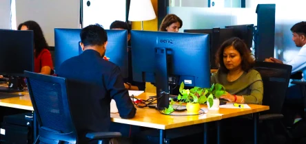 People working at computers in an office